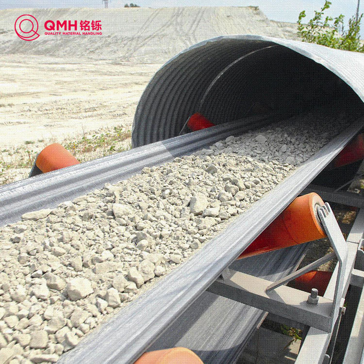 Cintura di trasportatore resistente all'acido e alcalino