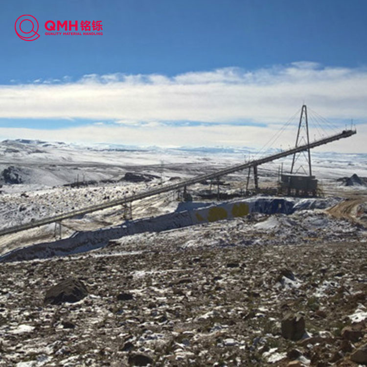 Cintura di trasportatore resistente a freddo